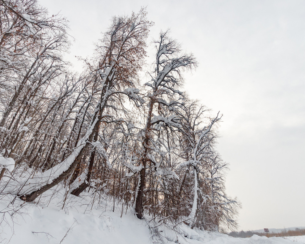 Пейзаж. Фотограф-любитель Алексей Сергеевич Петропавловский, г. Йошкар-Ола