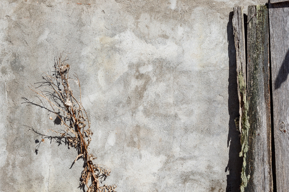 Сухая ветка и фрагмент старого деревянного забора на фоне серой стены. 