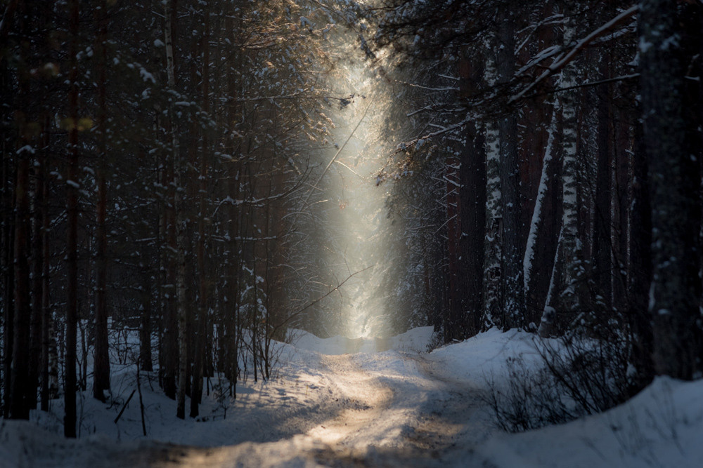 Дорога в тёмном лесу и лучи солнца.