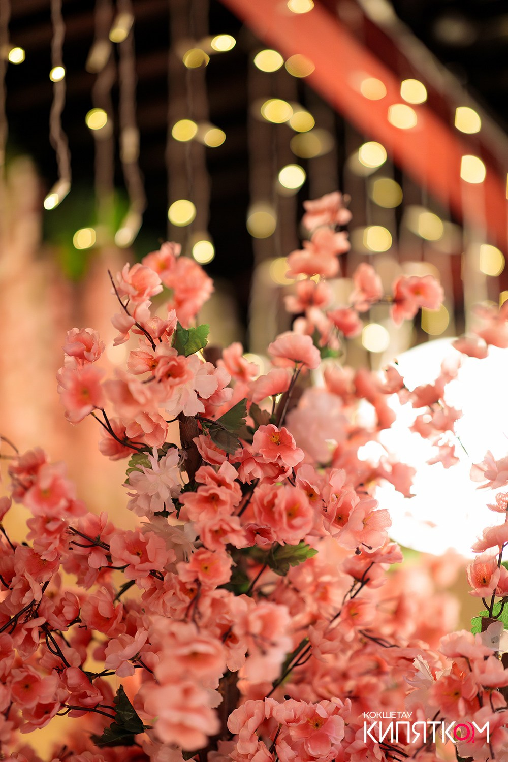 HANAMI. КИПЯТКОМ КОКШЕТАУ