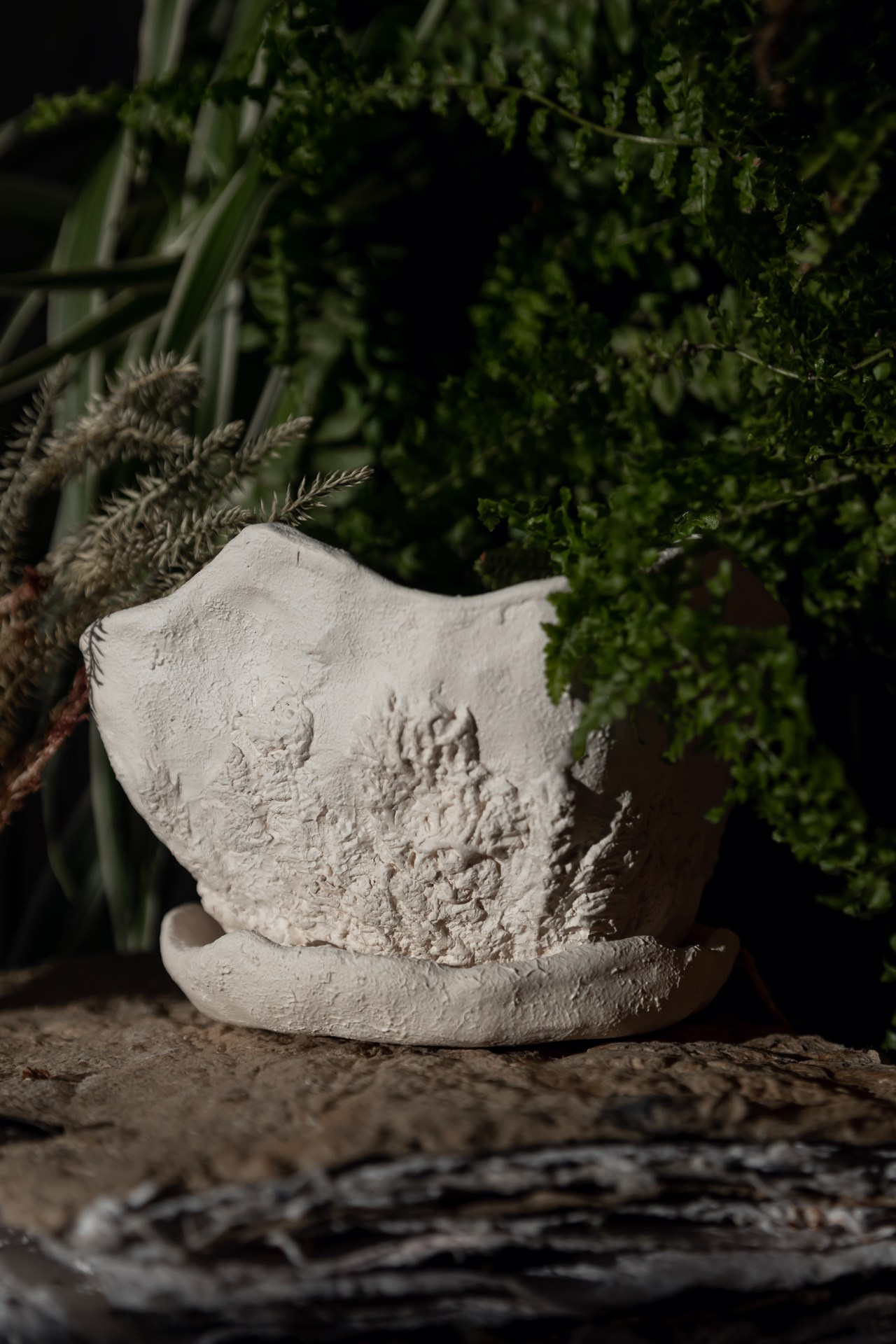 Горшок «Мхи и лишайники» 1700 р. Катя Цвет