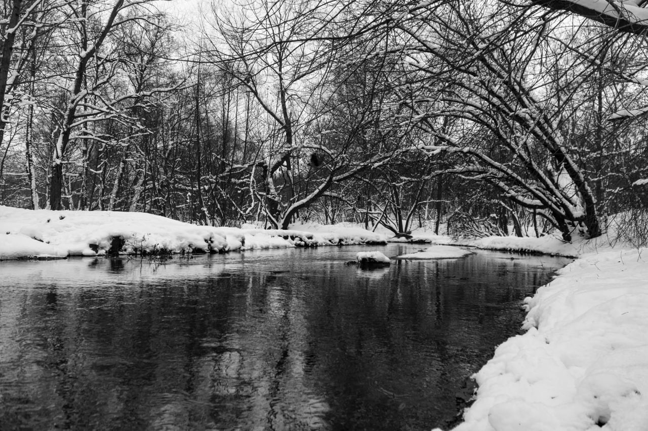 Черно-белая зимняя фотография: заснеженный берег городской реки или канала, голые деревья отражаются в темной, спокойной воде, толстый слой снега на переднем плане, атмосфера тишины и покоя в городе, Вадим Топорёнок, проект Манифест теней, городская природа, геометрия зимы, уличная фотография Москвы, монохромная съемка, визуальная пауза.