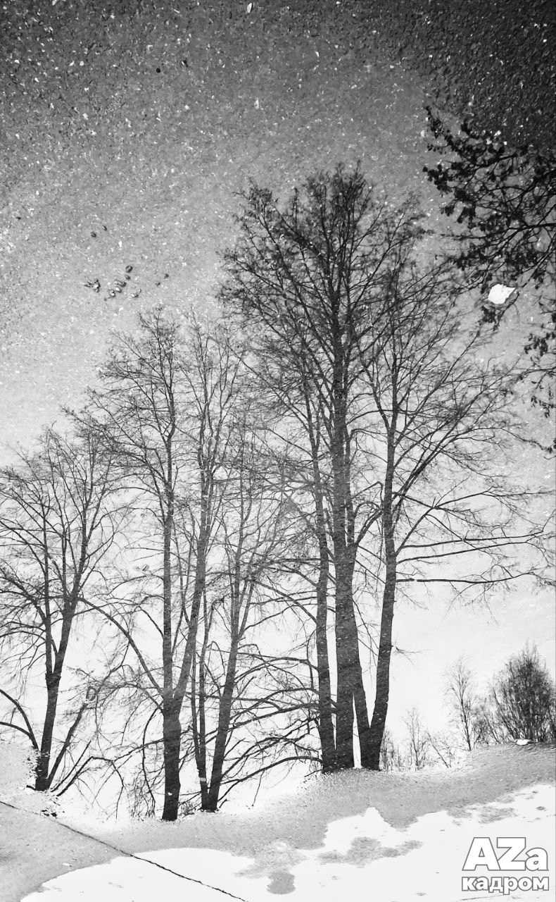 AZакадром «Отражения». Женский семейный фотограф Тула Москва Захарова Анна