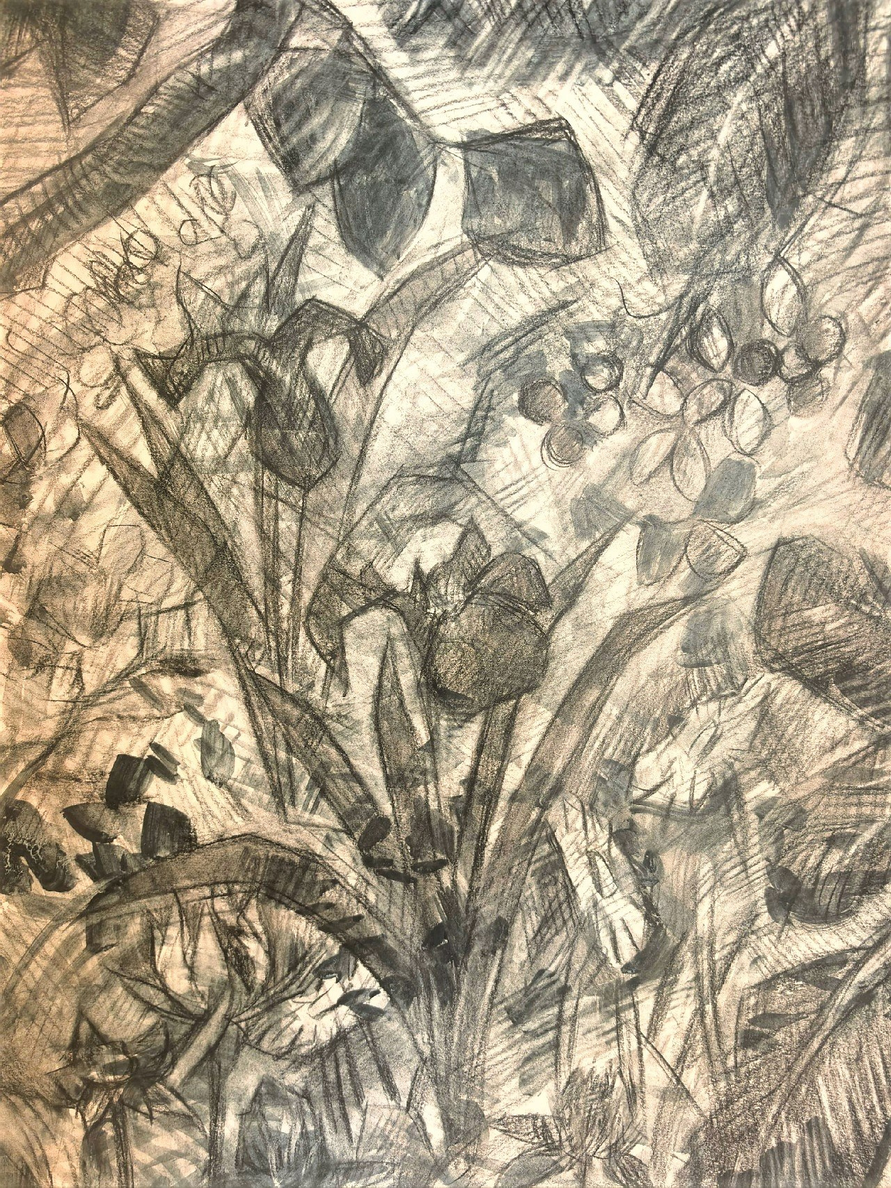 Медведь. Художник и гид по Камчатке Евгений Чайкин