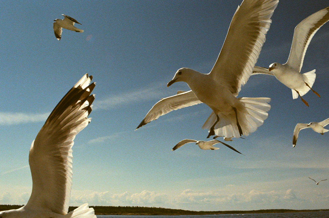 Автор: Юлия Гаршкунко