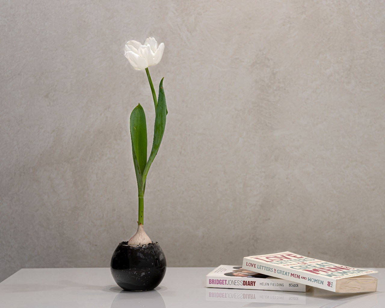 Предметная съёмка. Elan Korn