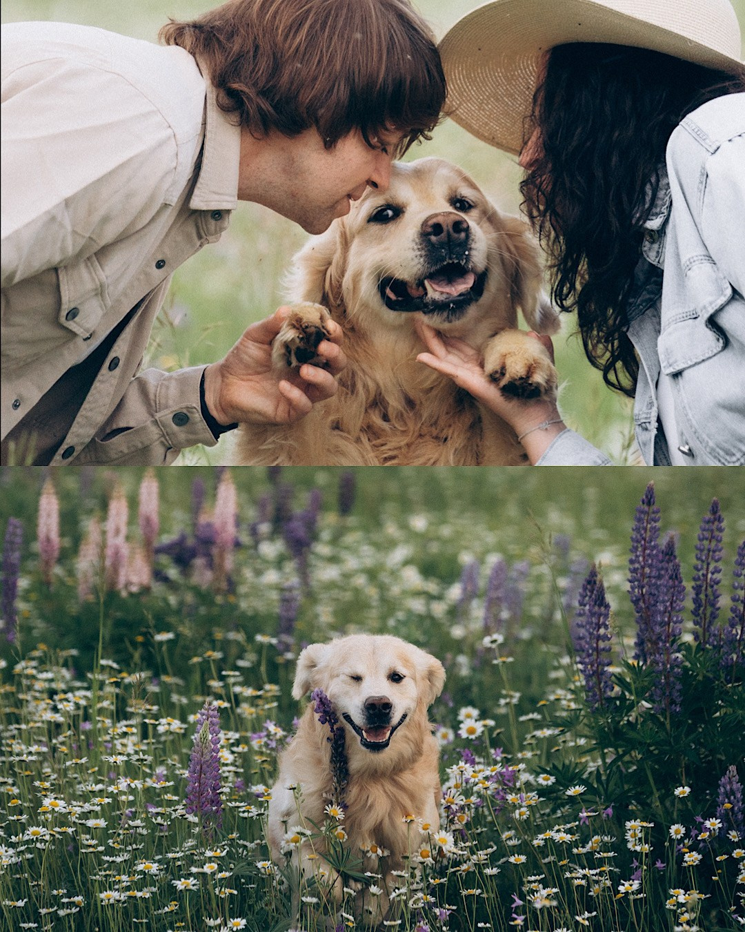 Кристина, Александр, Каролина, Владлен и Космос. Фотограф анималист в Москве и Санкт-Петербурге Свиридова Анна