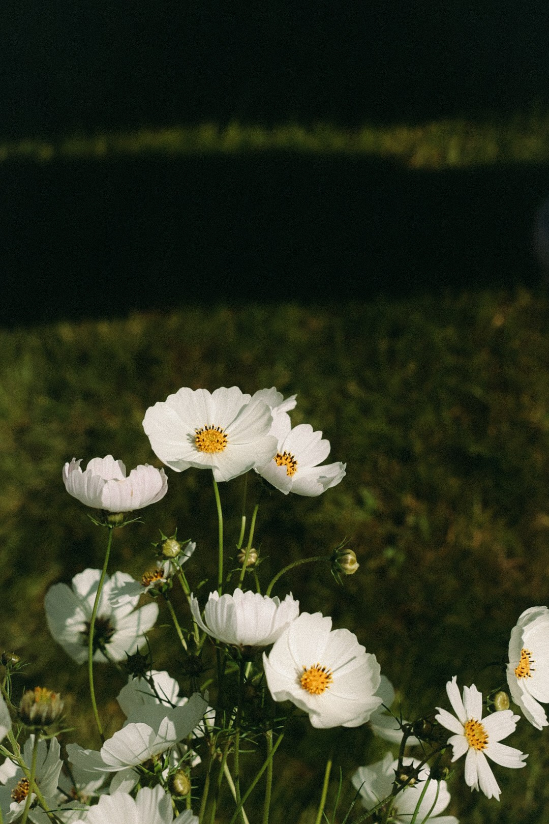Backstage. Фотограф Нижний Новгород