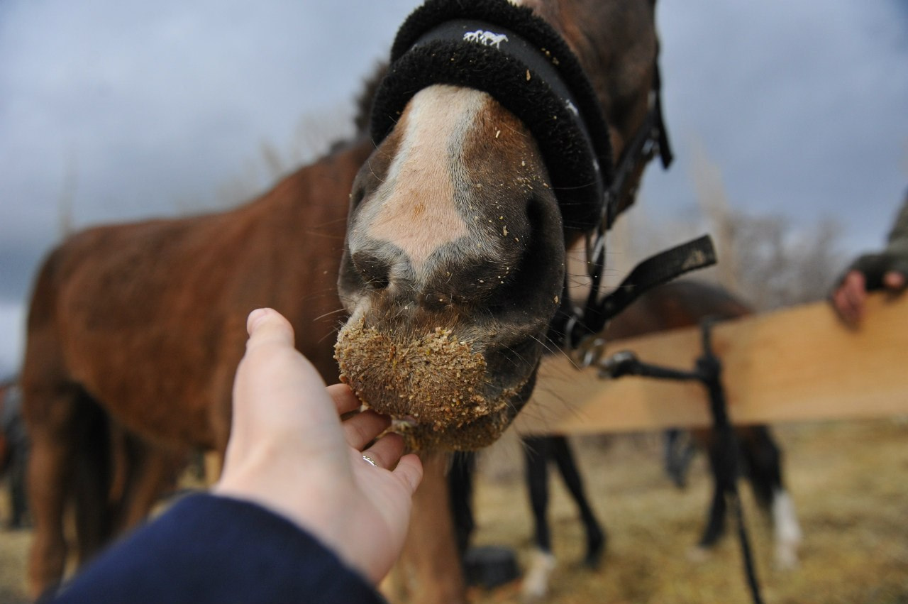 МОЙ 2014. Фотограф
