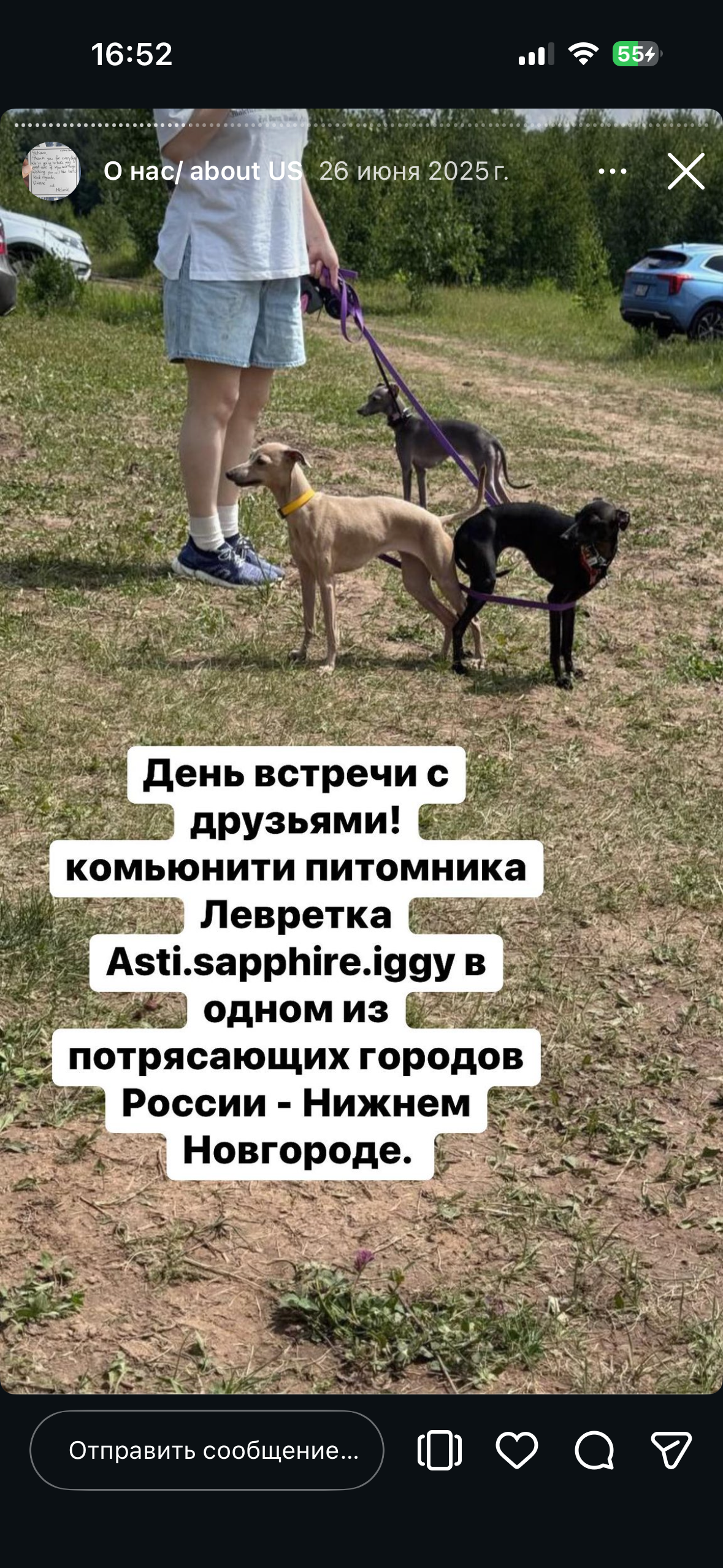 Отзывы от наших любимых владельцев. Профессиональный питомник левреток РКФ/FCI ASTI SAPPHIRE 💎 Сочи|Санкт-Петербург