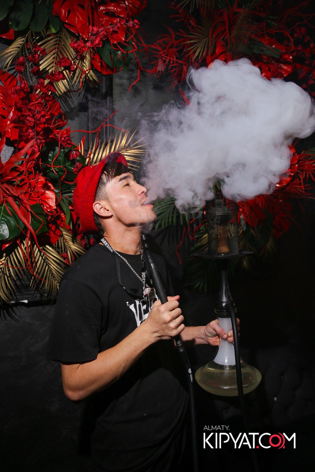 УХО И МЕДВЕДЬ НА САИНА. КИПЯТКОМ АЛМАТЫ!