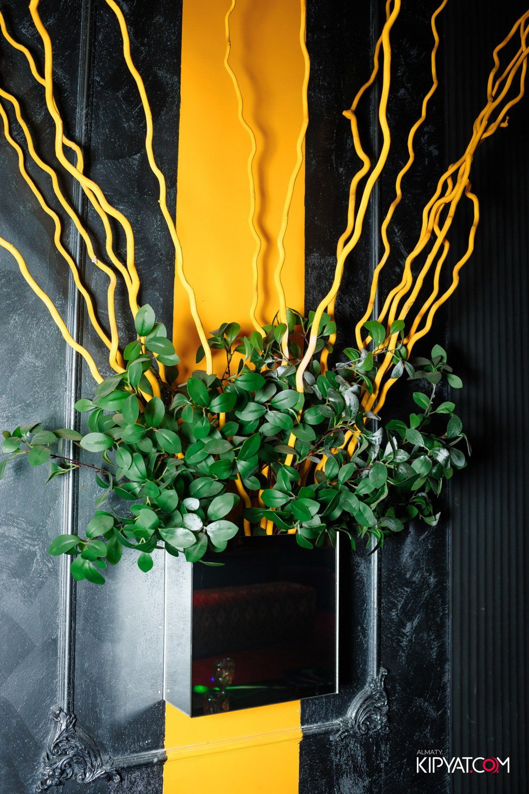 УХО И МЕДВЕДЬ НА ГАГАРИНА. КИПЯТКОМ АЛМАТЫ!