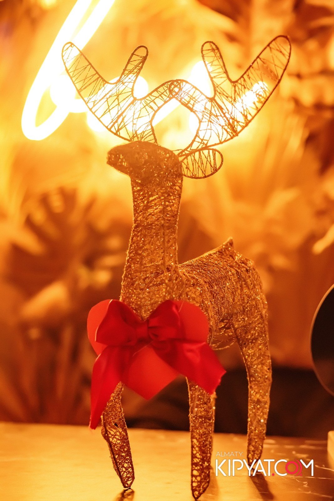 LUGO BAR. КИПЯТКОМ АЛМАТЫ!