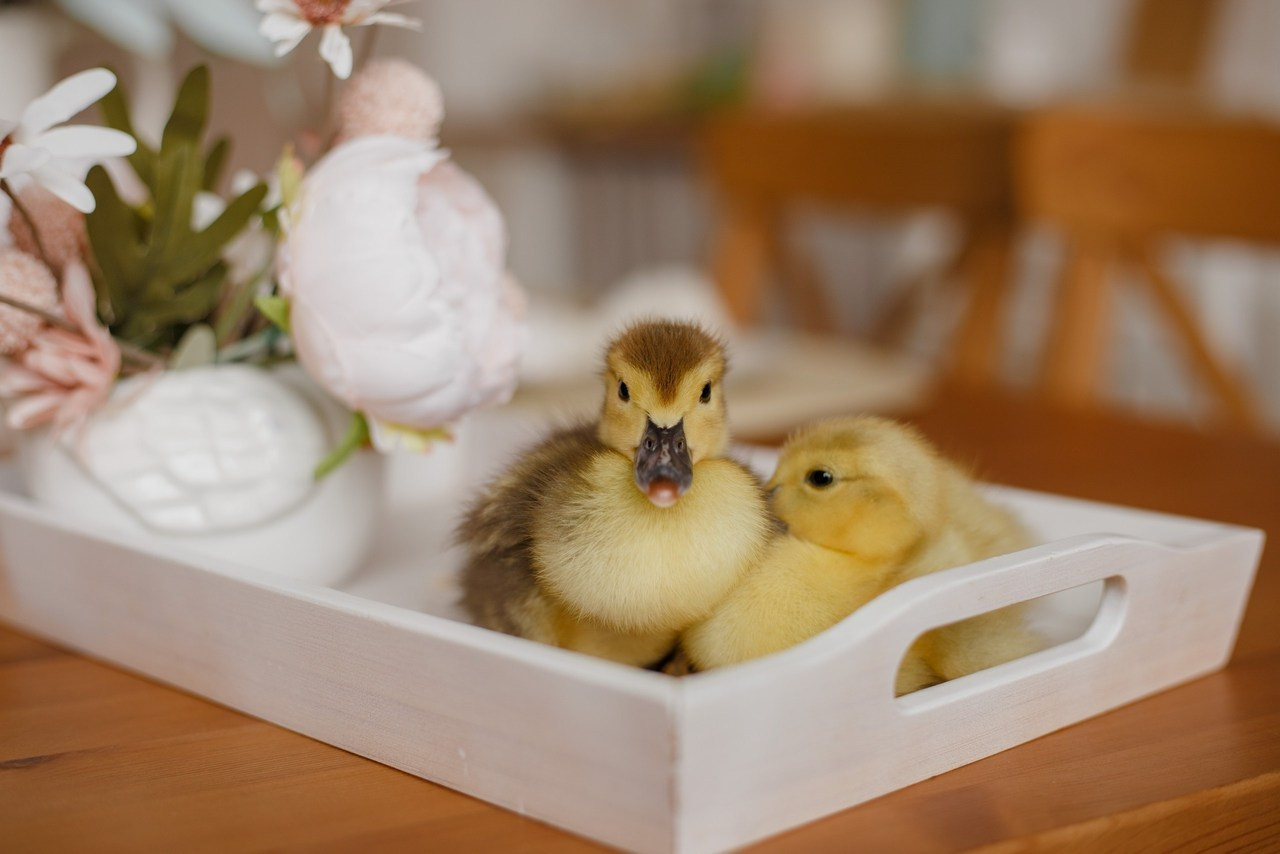 Отзывы. Свадебный фотограф Санкт-Петербург  Москва