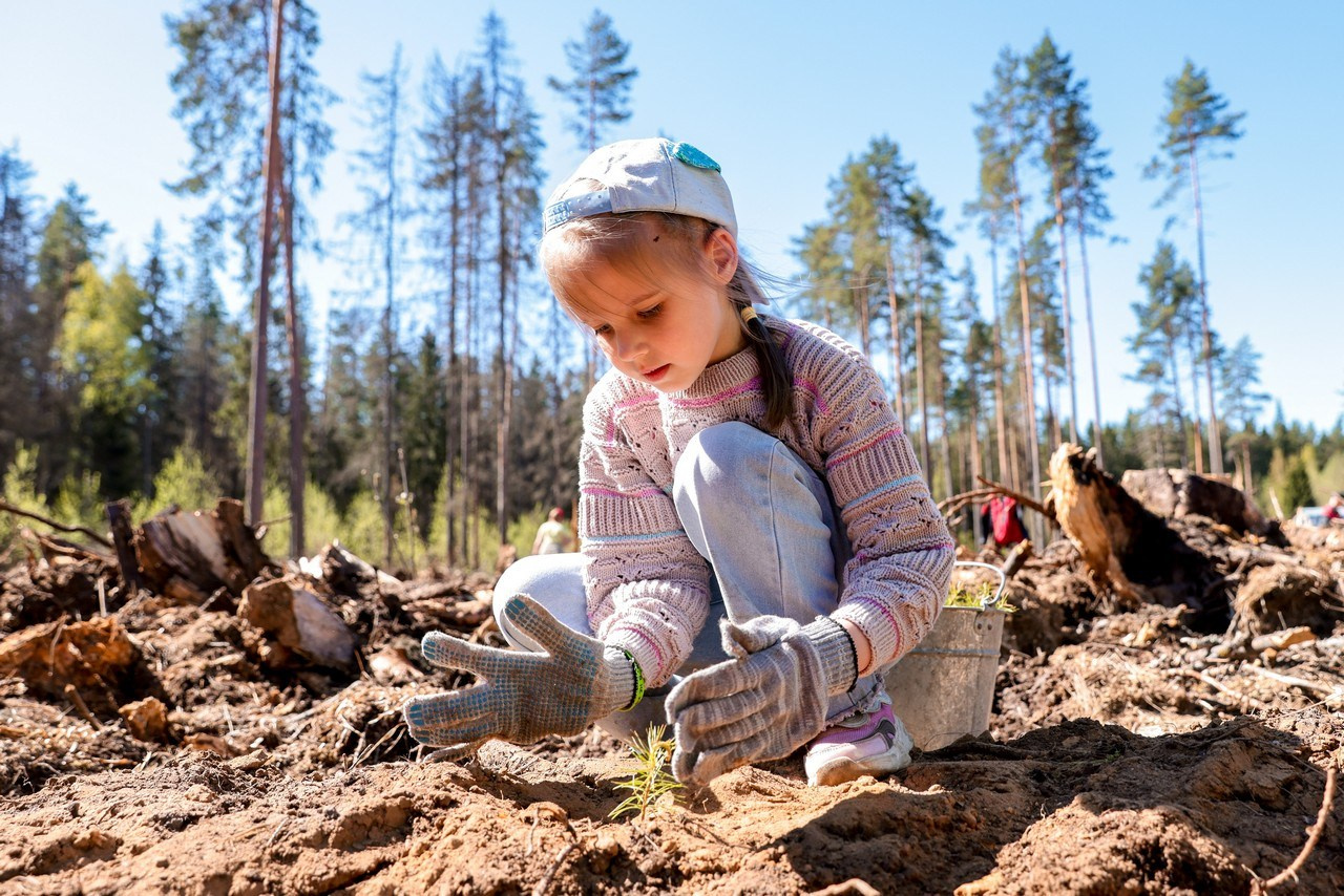 Волонтёры Лесы. Спортивный фотограф Зянтереков Антон