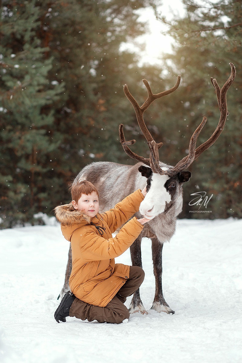 Съёмки с оленем. Фотограф беременности и семейный фотограф в Нижнем Новгороде Мила Шелест