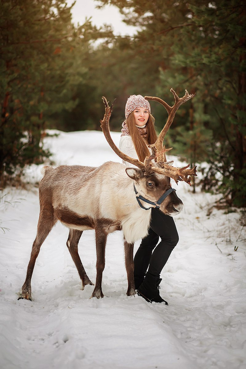 Съёмки с оленем. Фотограф беременности и семейный фотограф в Нижнем Новгороде Мила Шелест
