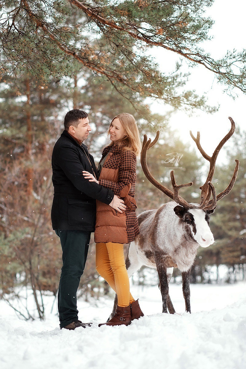 Съёмки с оленем. Фотограф беременности и семейный фотограф в Нижнем Новгороде Мила Шелест