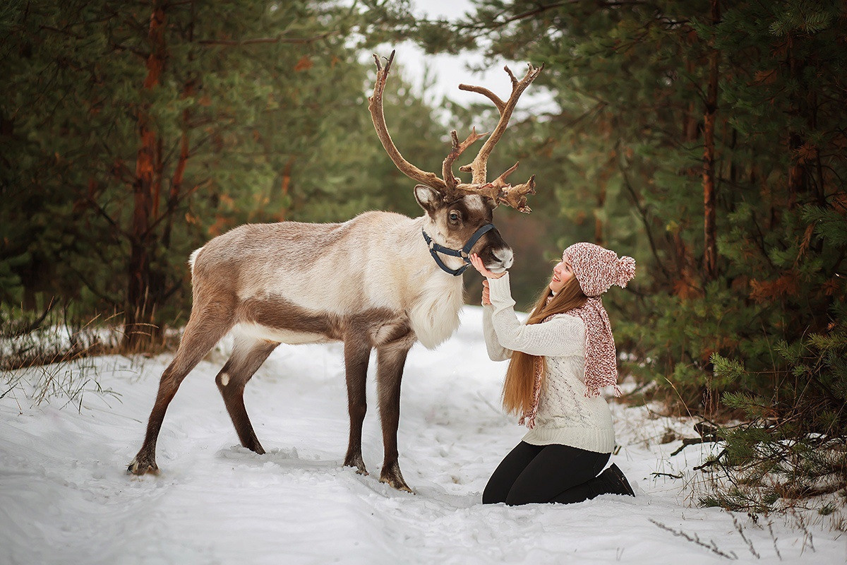 Съёмки с оленем. Фотограф беременности и семейный фотограф в Нижнем Новгороде Мила Шелест