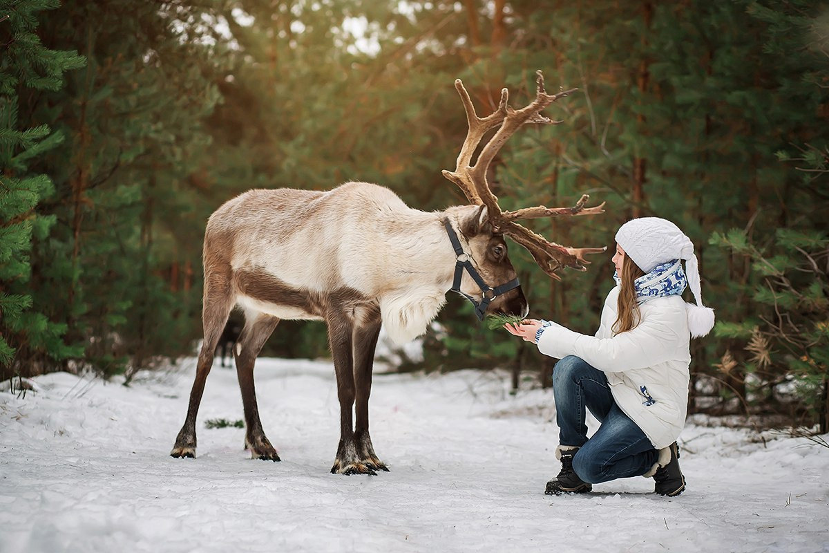 Съёмки с оленем. Фотограф беременности и семейный фотограф в Нижнем Новгороде Мила Шелест