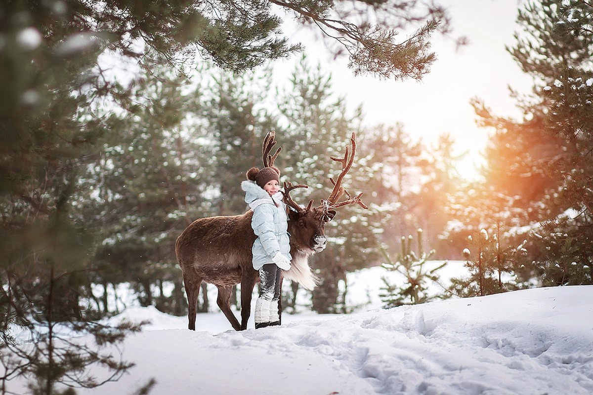 Съёмки с оленем. Фотограф беременности и семейный фотограф в Нижнем Новгороде Мила Шелест