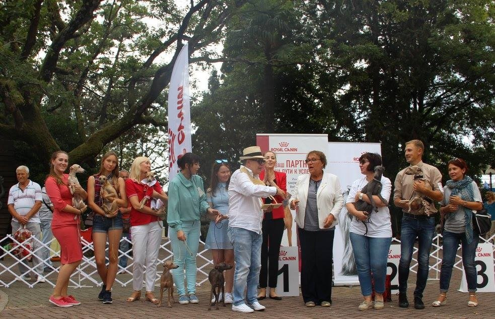 Организация монопородной выставки. Профессиональный питомник левреток РКФ/FCI ASTI SAPPHIRE 💎 Сочи|Санкт-Петербург