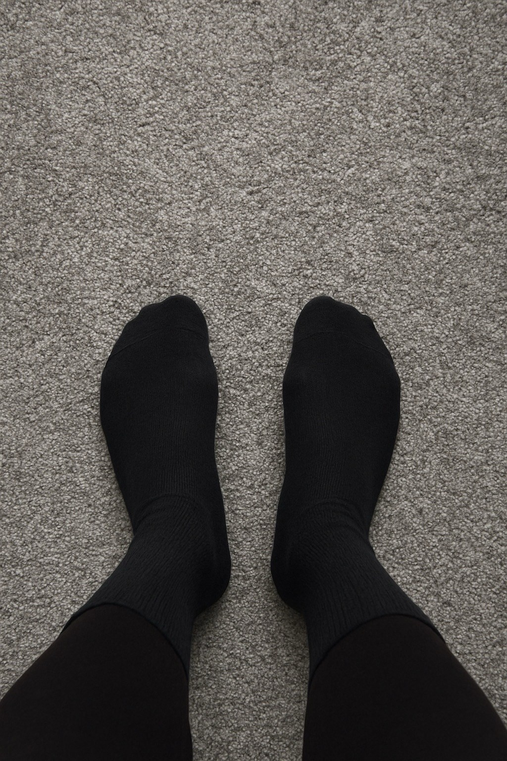 Мобильная галерея Светланы Толстой — персональная выставка