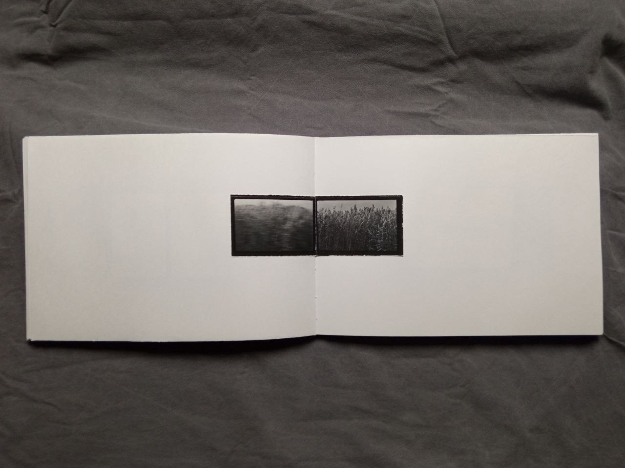 Максим Юданов | Деревья, трава и камни. Private image