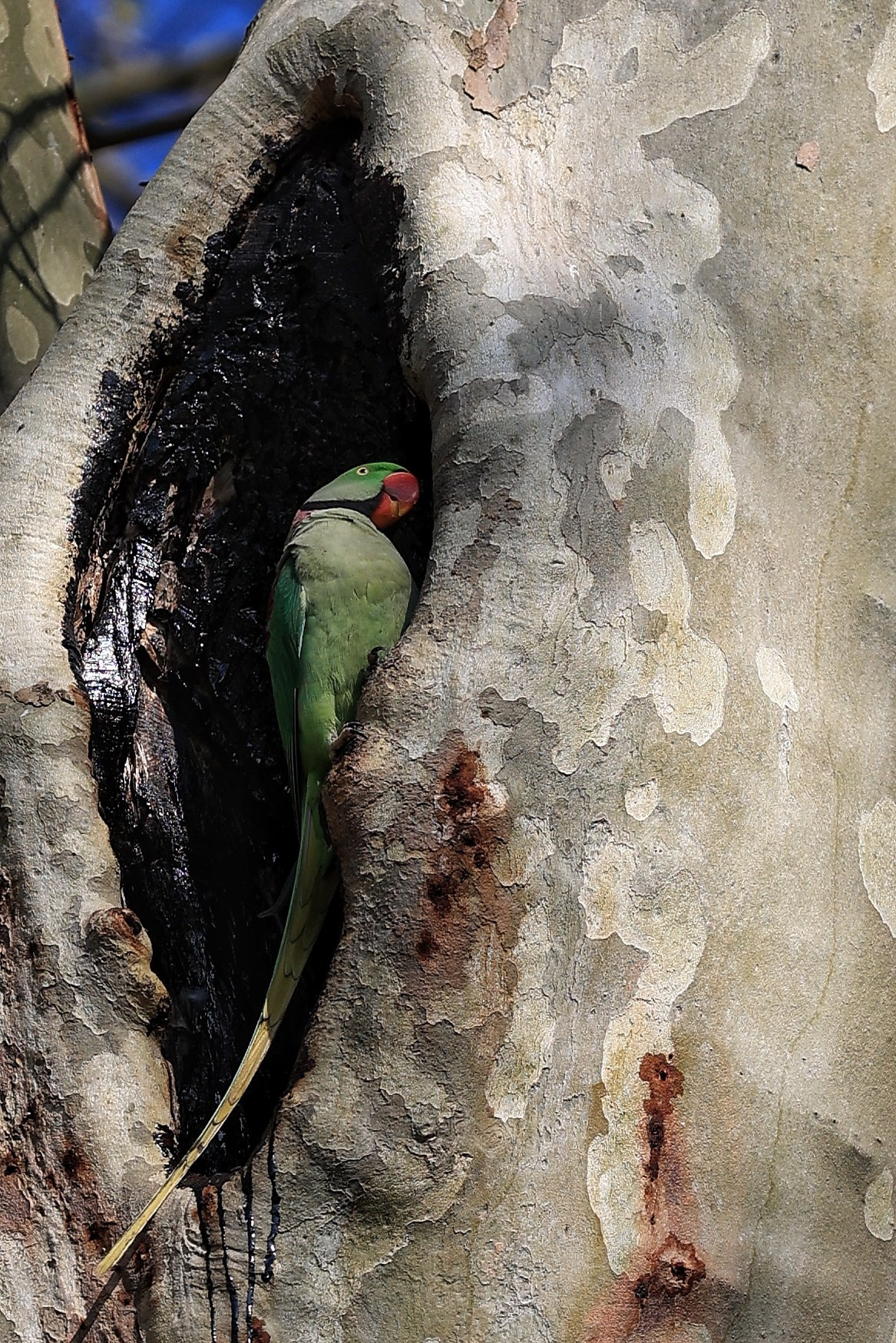 2025 год. Тащилин Сергей. Фотографии. Жизнь. Хобби