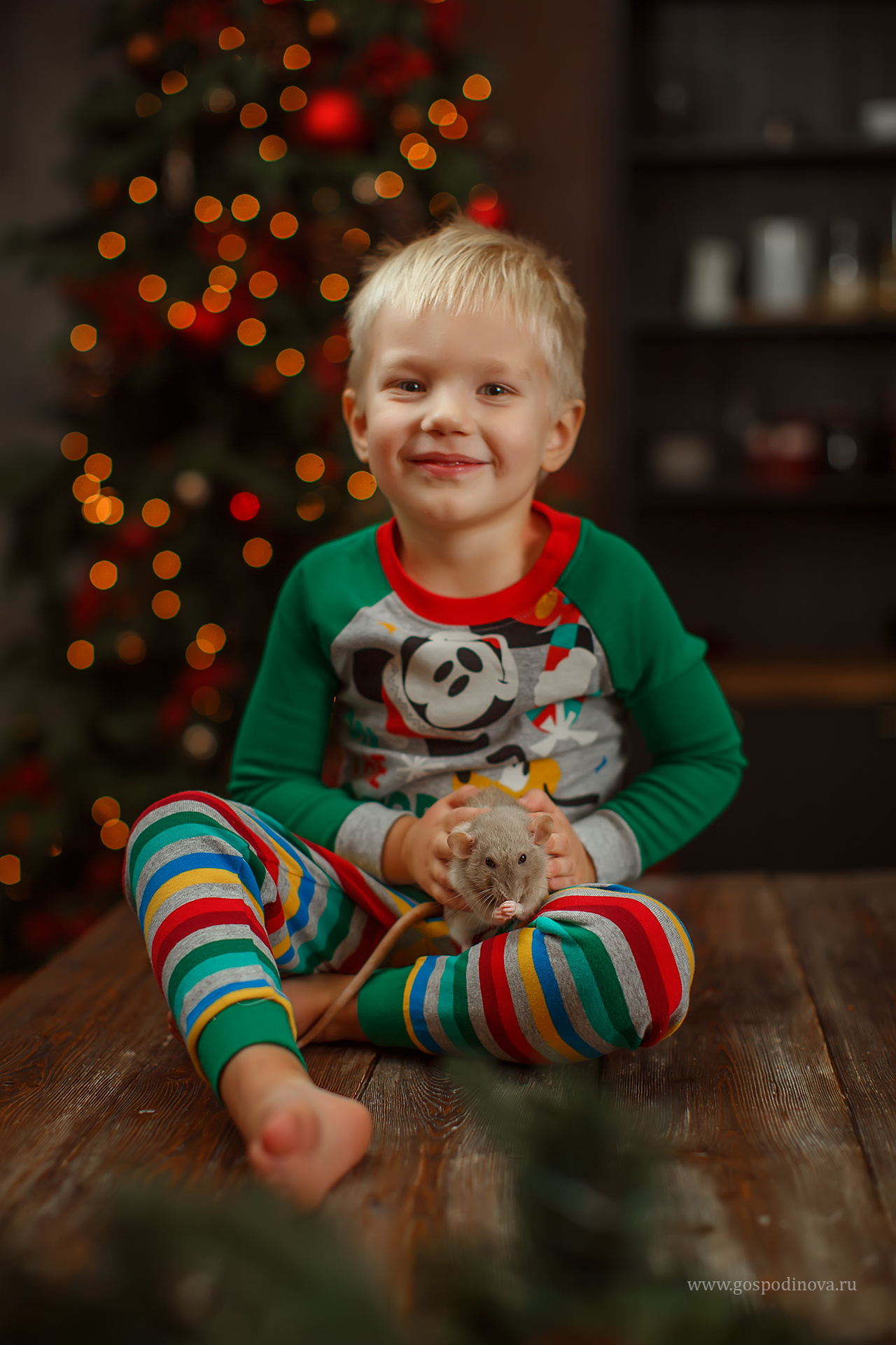 Новый Год. Детский и семейный фотограф в Санкт-Петербурге Мария Господинова