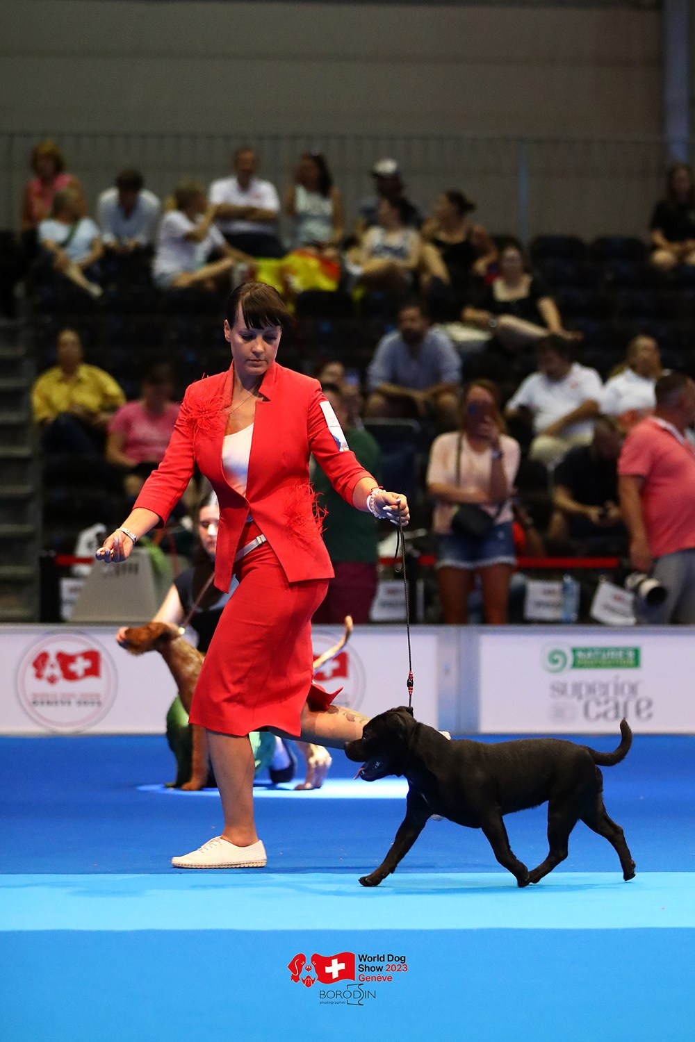 24-27.08.2023 WDS Geneva. Фотограф Дмитрий Бородин