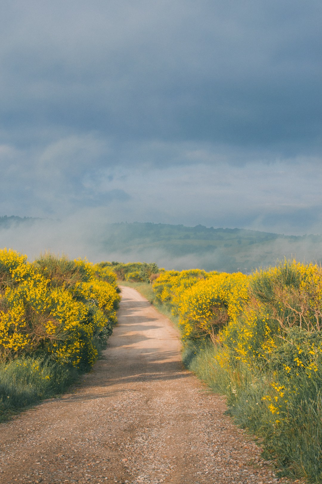 Landscape Photography and Fine Art Prints