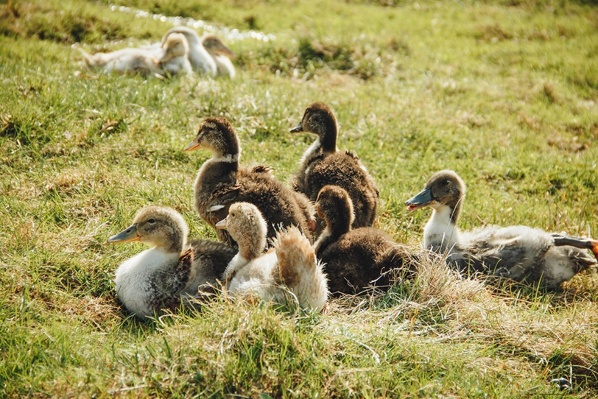 Vyksa. ФОТОГРАФ ANASTASIA KOSHELEVA