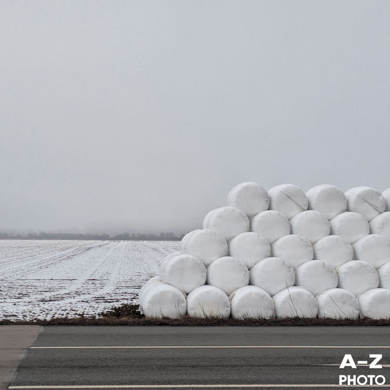 #ФОТОНЕДЕЛИ 02.02.2026. Женский семейный фотограф Тула Москва Захарова Анна