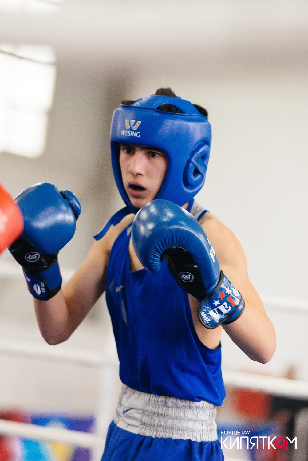 Турнир по боксу. КИПЯТКОМ КОКШЕТАУ