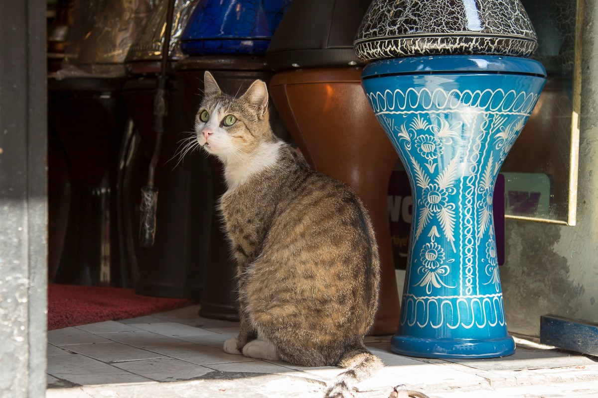 Стамбул, Турция, 2014. Фотограф Василий Буланов