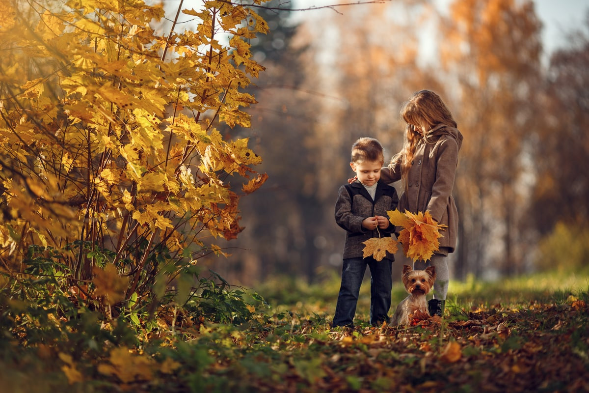 Портфолио | Фотограф Ярославль, Москва, фотосессия Костюк Зоя. Фотограф Зоя Костюк | Детский и семейный фотограф Ярославль, Кострома,