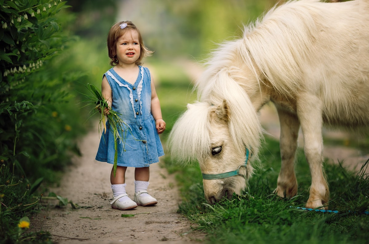 Портфолио | Фотограф Ярославль, Москва, фотосессия Костюк Зоя. Фотограф Зоя Костюк | Детский и семейный фотограф Ярославль, Кострома,