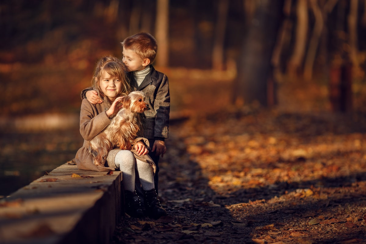 Портфолио | Фотограф Ярославль, Москва, фотосессия Костюк Зоя. Фотограф Зоя Костюк | Детский и семейный фотограф Ярославль, Кострома,