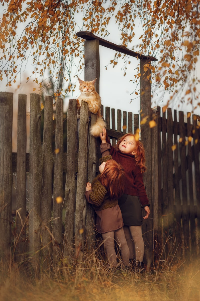 Портфолио | Фотограф Ярославль, Москва, фотосессия Костюк Зоя. Фотограф Зоя Костюк | Детский и семейный фотограф Ярославль, Кострома,