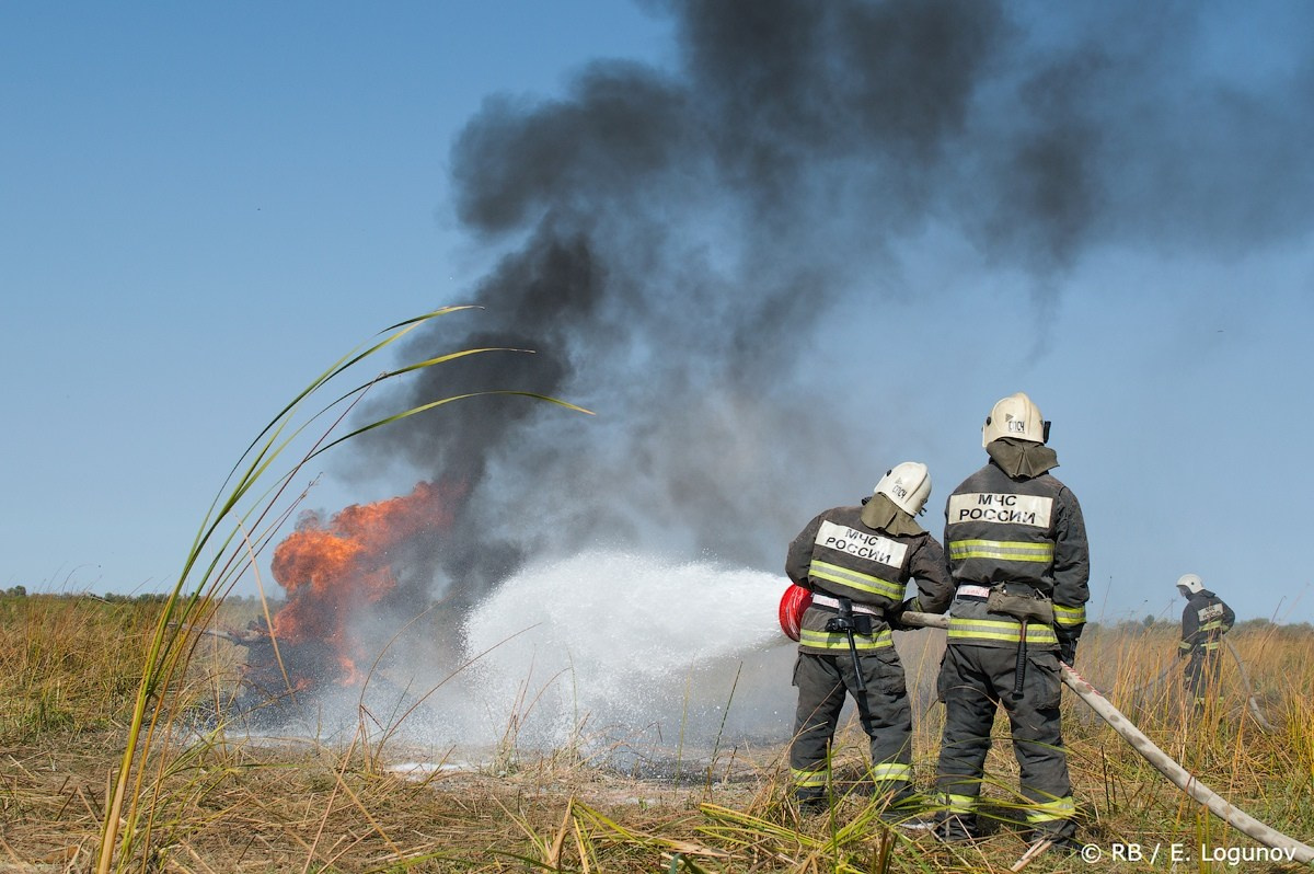 Происшествия