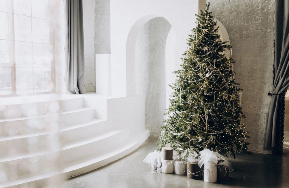 Локации для новогодних съёмок 2024-2025. Свадебный и контент фотограф в Белгороде Ярослав Гаврилейченко