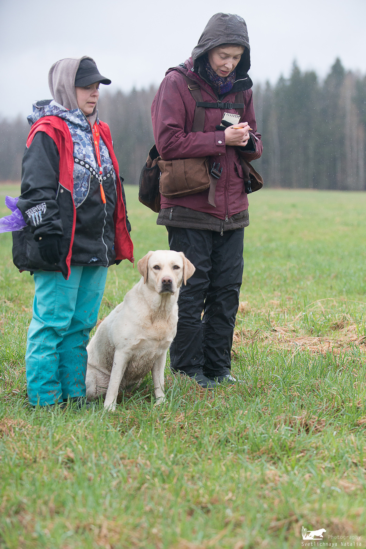 WT Школы Шмеля 24 апреля 2021 года. Фотограф-анималист Наталья Светличная