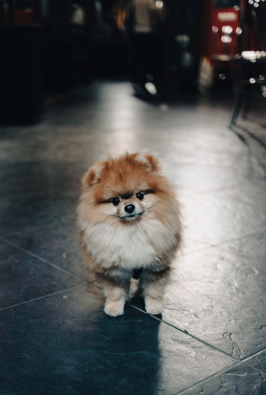 РЕПОРТАЖ — ЗАКРЫТИЕ ВЫСТАВКИ ГОСТИНЫЙ ДВОР. Семейный и репортажный фотограф в Москве Оксана Шилова