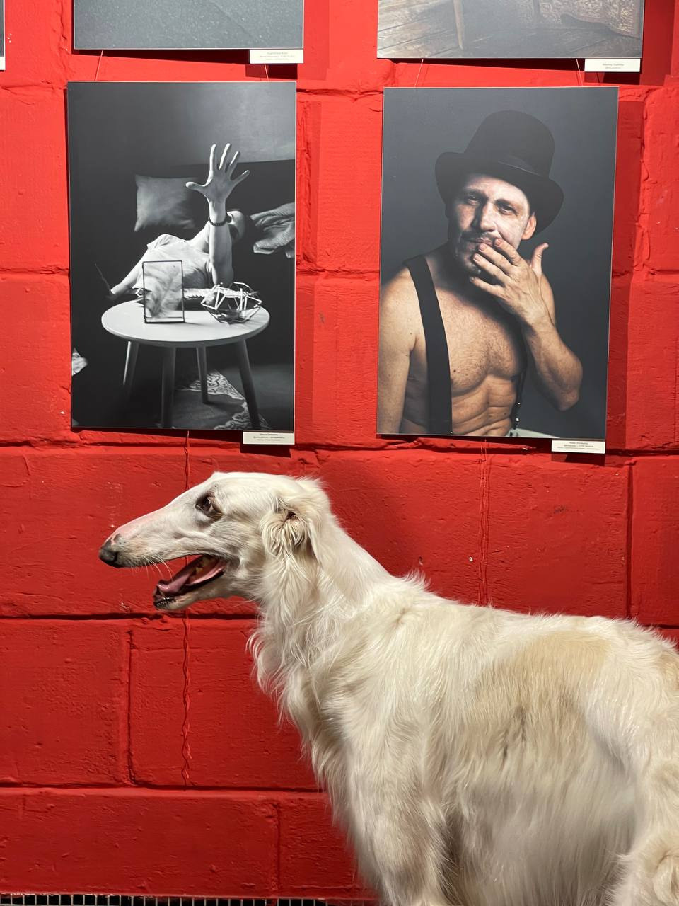 РЕПОРТАЖ — ЗАКРЫТИЕ ВЫСТАВКИ ГОСТИНЫЙ ДВОР. Семейный и репортажный фотограф в Москве Оксана Шилова