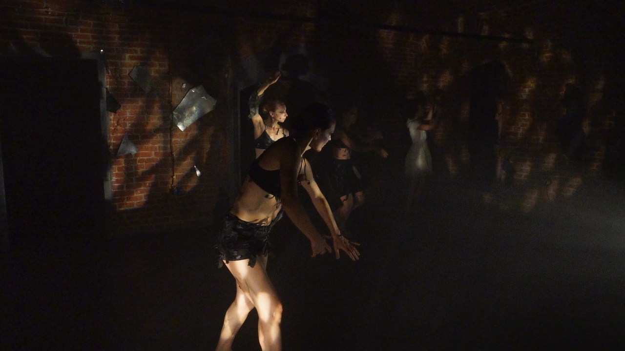 Красное дерево. Фото / Видеосъемка в Москве