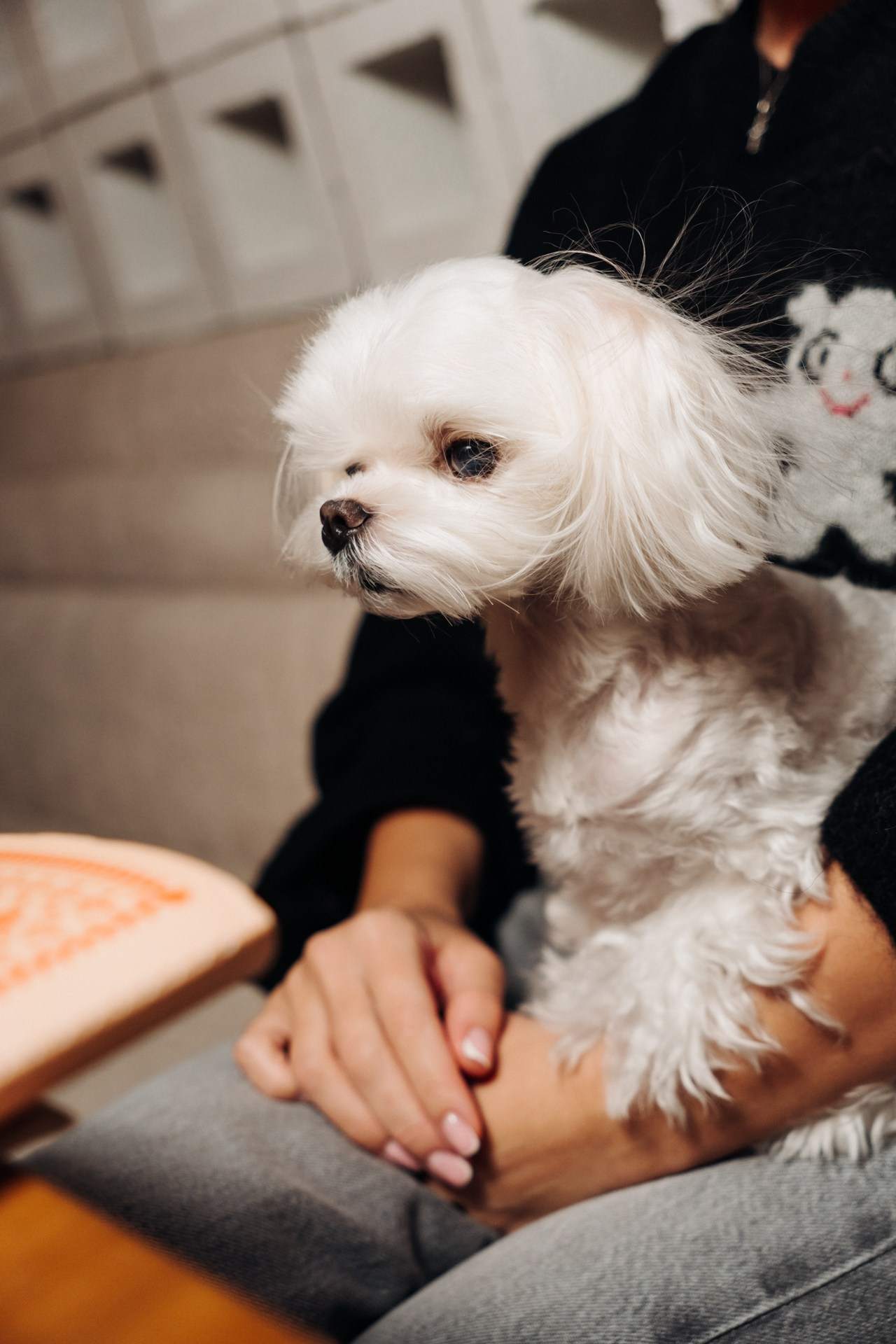 Репортажный фотограф Санкт-Петербург