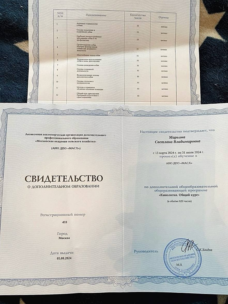 Мои дипломы и сертификаты. Семейный фотограф анималист г. Находка