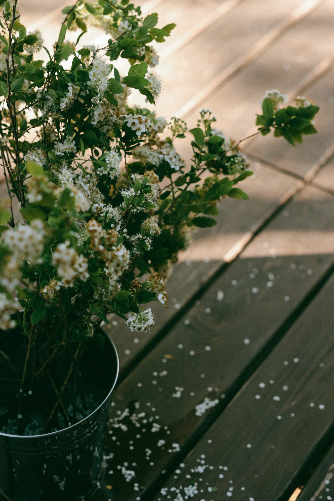 У вас мальчик 🩵. Фотограф Нижний Новгород