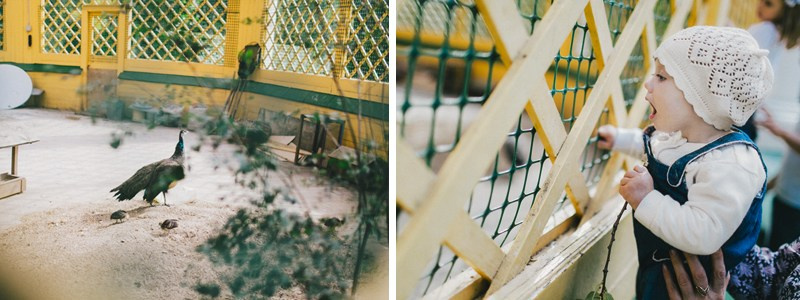 Дмитрий и Алена. Свадебный фотограф в Москве — Павел Воронцов